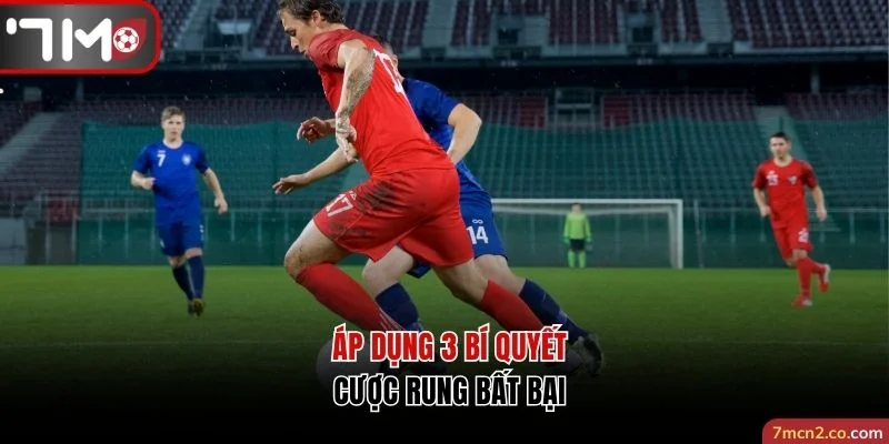 Áp dụng 3 bí quyết cược rung bất bại