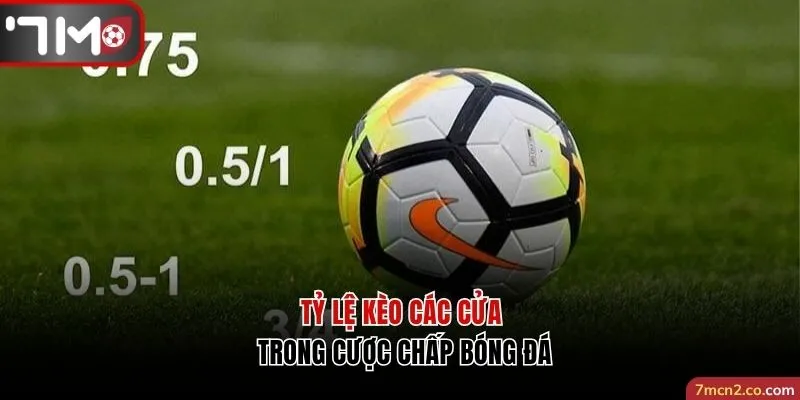 Tỷ lệ kèo các cửa trong cược chấp bóng đá